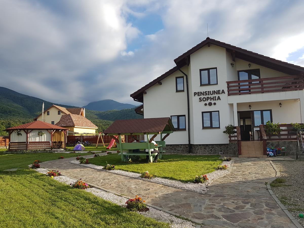 Pensiunea Sophia Стацьюня-Климатерикэ-Сымбэта Экстерьер фото